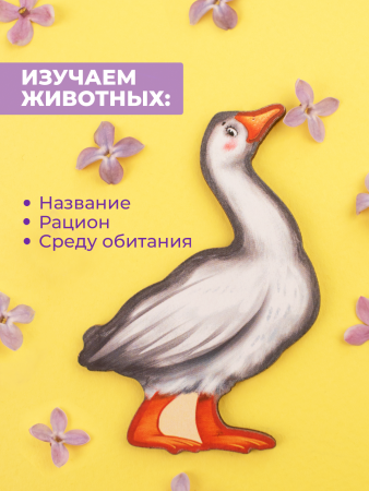 Рамка-вкладыш Животные 275х200