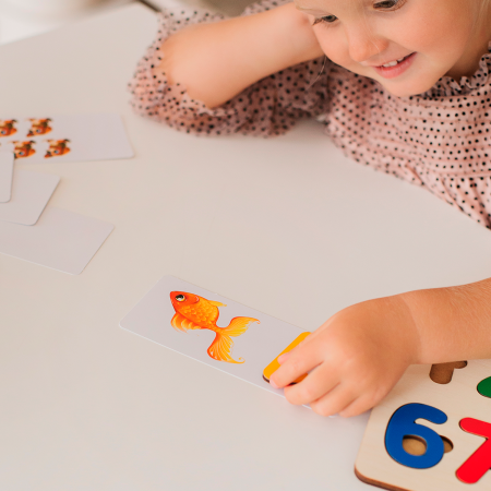 Рамка вкладыш Цифры с карточками